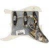 Fender Maskownica Strat, Custom Shop Texas Special SSS WBW - 2 Fender Maskownica Strat, Custom Shop Texas Special SSS WBW - 2