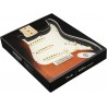 Fender Maskownica Strat, Custom Shop Fat 50's SSS WBW - 3 Fender Maskownica Strat, Custom Shop Fat 50's SSS WBW - 3