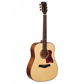 ArsNova AN-700 - gitara akustyczna