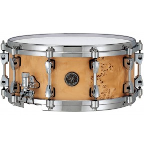 Tama PMM146-STM Werbel Starphonic Maple Snare Drum - 14" x 6" - 1