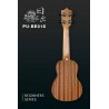 Ukulele PUKANALA PU-BE01S Sopran - 6