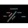 Showtec Pixel Panel 1024 64x16 indywidualnie sterowana matryca pikseli RGB Showtec Pixel Panel 1024 64x16 indywidualnie sterowana matryca pikseli RGB