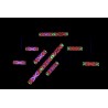 Showtec Pixel Panel 1024 64x16 indywidualnie sterowana matryca pikseli RGB Showtec Pixel Panel 1024 64x16 indywidualnie sterowana matryca pikseli RGB