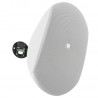 DAP Audio Głośnik ścienny instalacyjny WMS8-W - biały DAP Audio Głośnik ścienny instalacyjny WMS8-W - biały