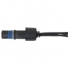 Showtec Lampki dekoracyjne LED 100 diod - 10 m Showtec Lampki dekoracyjne LED 100 diod - 10 m