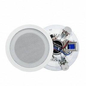 NSP NS-303 - Głośnik 100V