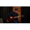 Ortega RRA-SRT - Gitara klasyczna 4/4 Ranger + pokrowiec - 5 - Gitary klasyczne - Ortega RRA-SRT - Gitara klasyczna 4/4 Ranger +