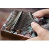 Meinl Percussion KA17CR - Kalimba - 12 - Kalimba - Meinl Percussion KA17CR - Kalimba Meinl Percussion KA17CR - Kalimba - 12 - Kalimba - Meinl Percussion KA17CR - Kalimba