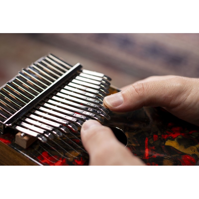 Meinl Percussion KA17LV - Kalimba - 7 - Kalimba - Meinl Percussion KA17LV - Kalimba Meinl Percussion KA17LV - Kalimba - 7 - Kalimba - Meinl Percussion KA17LV - Kalimba