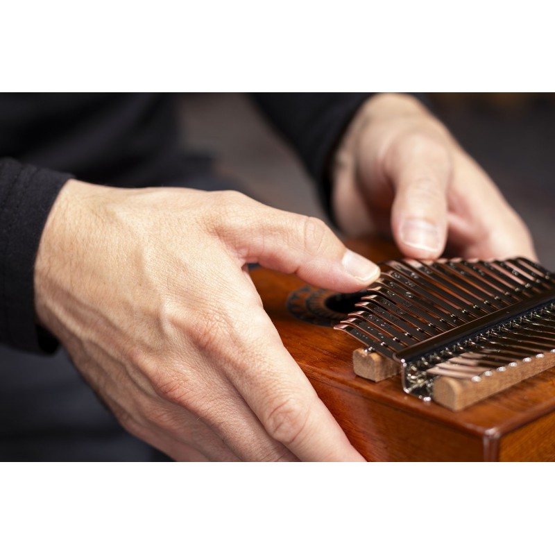 Meinl Percussion KA17SU - Kalimba - 8 - Kalimba - Meinl Percussion KA17SU - Kalimba Meinl Percussion KA17SU - Kalimba - 8 - Kalimba - Meinl Percussion KA17SU - Kalimba