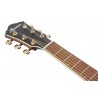 Ibanez AEWC12-RGF - Gitara elektro-akustyczna AEWC - 9 - Gitary e-akustyczne - Ibanez AEWC12-RGF - Gitara elektro-akustyczna AEW Ibanez AEWC12-RGF - Gitara elektro-akustyczna AEWC - 9 - Gitary e-akustyczne - Ibanez AEWC12-RGF - Gitara elektro-akustyczna AEW