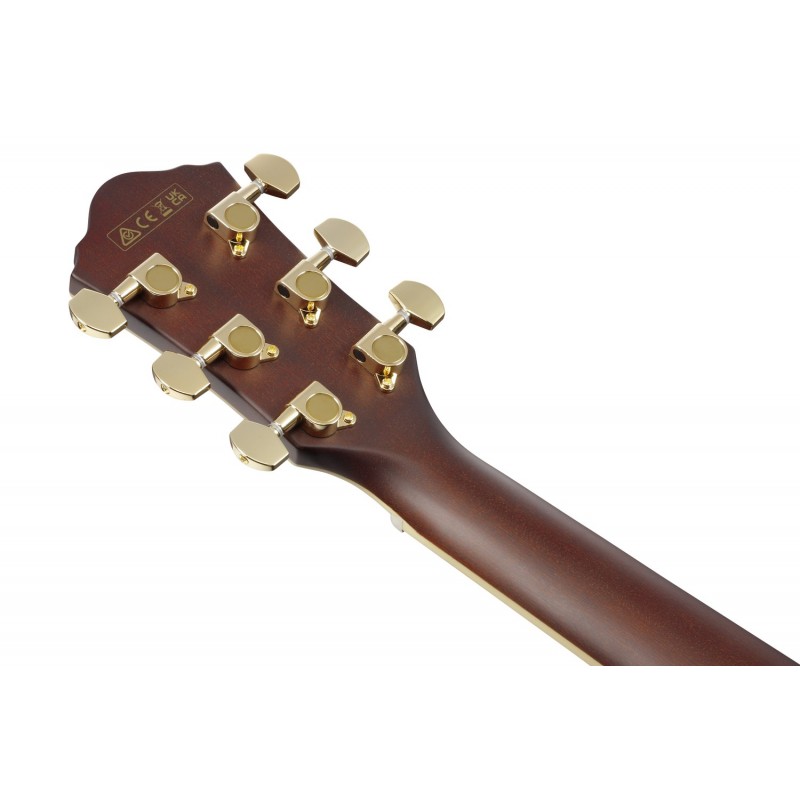 Ibanez AEWC12-RGF - Gitara elektro-akustyczna AEWC - 10 - Gitary e-akustyczne - Ibanez AEWC12-RGF - Gitara elektro-akustyczna AE Ibanez AEWC12-RGF - Gitara elektro-akustyczna AEWC - 10 - Gitary e-akustyczne - Ibanez AEWC12-RGF - Gitara elektro-akustyczna AE