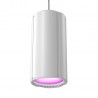 Cameo H1 FC WH - Sterowana przez DMX lampa typu houselight z diodą LED RGBAL Biały Cameo H1 FC WH - Sterowana przez DMX lampa typu houselight z diodą LED RGBAL Biały
