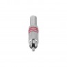 Adam Hall Connectors 3 STAR CR2 RED - Wtyk RCA M Adam Hall Connectors 3 STAR CR2 RED - Wtyk RCA M