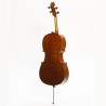 Stentor SR-1591-C - Wiolonczela 3/4, seria Handmade Pro "Elysia" Stentor SR-1591-C - Wiolonczela 3/4, seria Handmade Pro "Elysia"