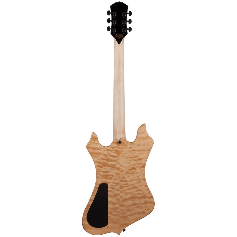 Schecter Wylde Audio Nomad Norse Dragon - Gitara elektryczna Schecter Wylde Audio Nomad Norse Dragon - Gitara elektryczna