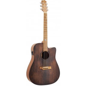 Randon RGI-10VT-CE gitara elektroakustyczna - 1 - Gitary e-akustyczne - Gitara elektroakustyczna Randon RGI-10VT-CE o bardzo prz