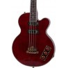 EPIPHONE Allen Woody Rumblekat Bass WR - gitara basowa - 2 - Gitary basowe - Gitara basowa EPIPHONE Allen Woody WR to wszechstro