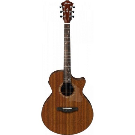 Ibanez AE295 LGS - gitara e-akustyczna