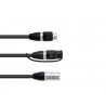 Eurolite Kabel adaptera DMX IP XLR 3-pin(M)/2xIP XLR 3-pin(F)