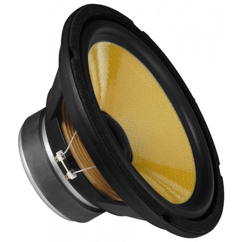 Monacor SPH-250KE Głośnik niskotonowy, 100W RMS Monacor SPH-250KE Głośnik niskotonowy, 100W RMS