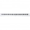 Blackstar Carry-On Folding Piano 88 WH - Pianino cyfrowe, przenośne, składane Blackstar Carry-On Folding Piano 88 WH - Pianino cyfrowe, przenośne, składane