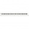 Blackstar Carry-On Folding Piano 88 WH - Pianino cyfrowe, przenośne, składane