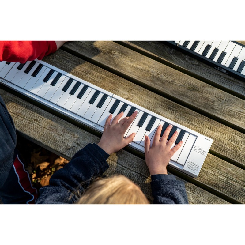 Blackstar Carry-On Folding Piano 88 WH - Pianino cyfrowe, przenośne, składane