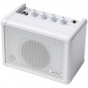 Blackstar Carry-On Mini Speaker - Wzmacniacz kompaktowy o mocy 3W Blackstar Carry-On Mini Speaker - Wzmacniacz kompaktowy o mocy 3W