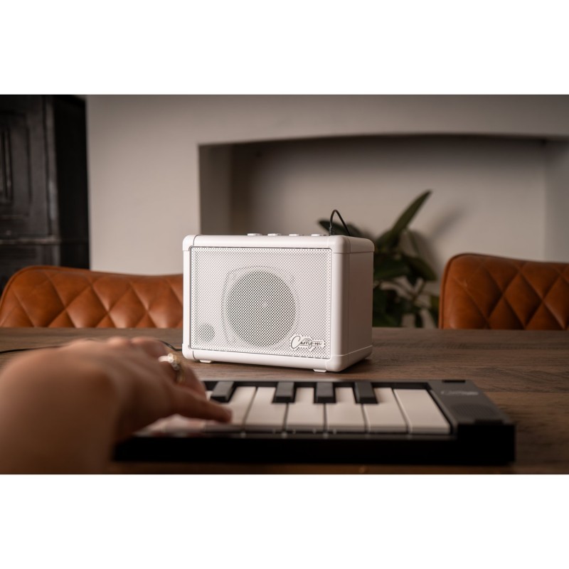 Blackstar Carry-On Mini Speaker - Wzmacniacz kompaktowy o mocy 3W Blackstar Carry-On Mini Speaker - Wzmacniacz kompaktowy o mocy 3W