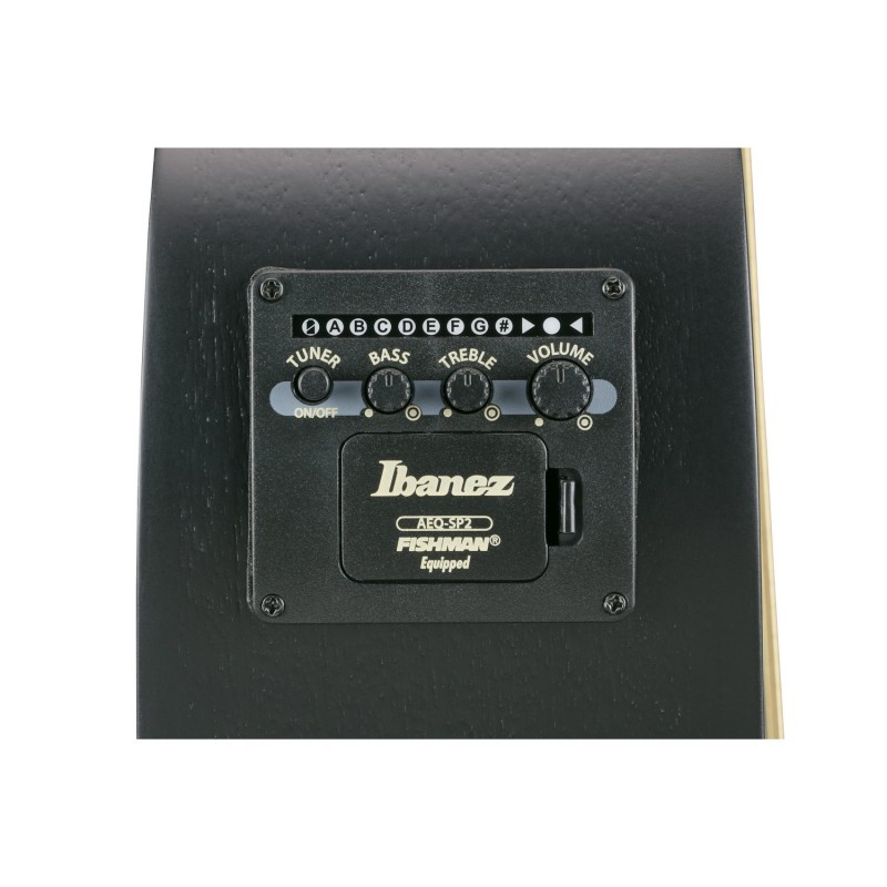 Ibanez AEWC621-BOT - Gitara elektroakustyczna Ibanez AEWC621-BOT - Gitara elektroakustyczna