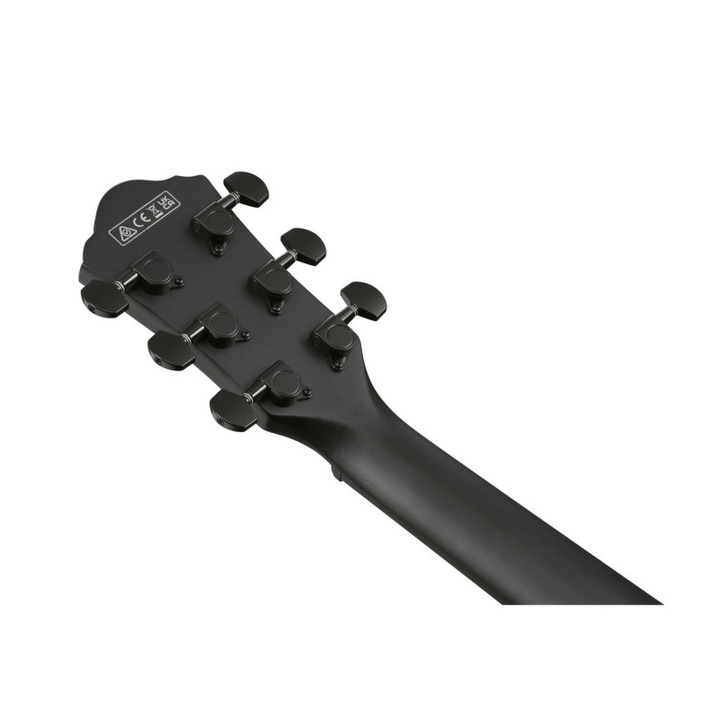 Ibanez AEWC621-BOT - Gitara elektroakustyczna Ibanez AEWC621-BOT - Gitara elektroakustyczna