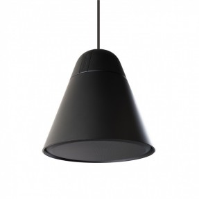 Biamp P30DT-BL - głośnik instalacyjny