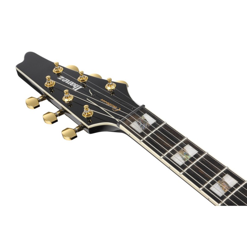 Ibanez FRM350-BK Paul Gilbert Signature - Gitara elektryczna z pokrowcem Ibanez FRM350-BK Paul Gilbert Signature - Gitara elektryczna z pokrowcem