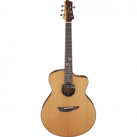 Ibanez JGM11 Jon Gomm Signature - Gitara akustyczna z futerałem