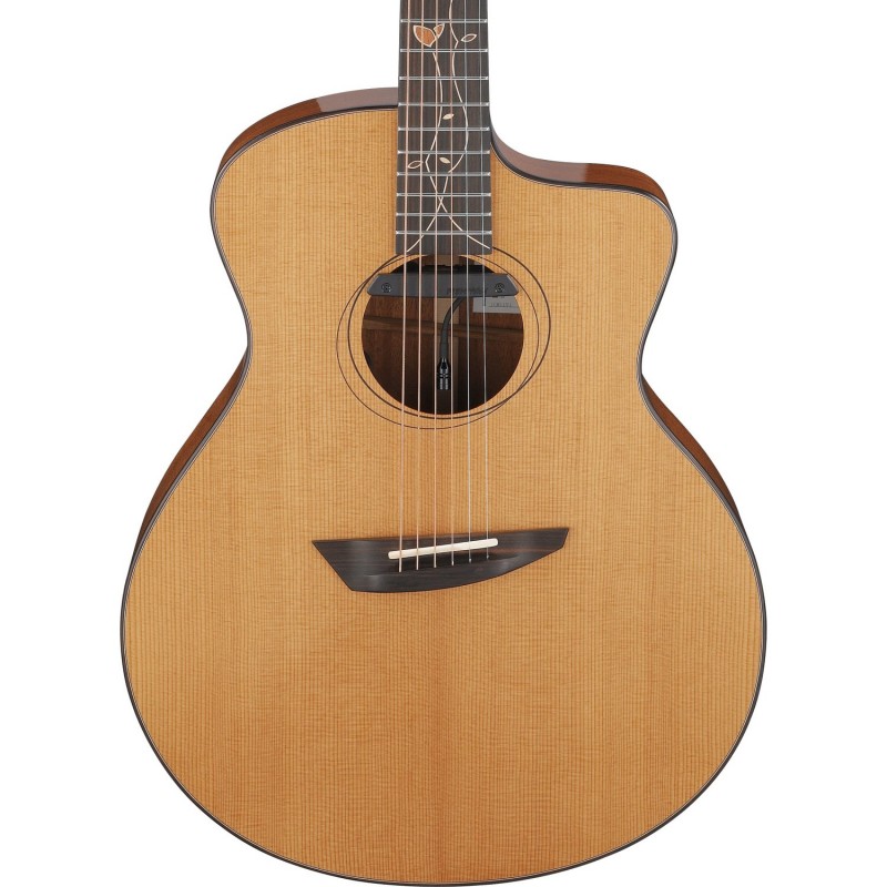 Ibanez JGM11 Jon Gomm Signature - Gitara akustyczna z futerałem Ibanez JGM11 Jon Gomm Signature - Gitara akustyczna z futerałem