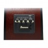 Ibanez PJ50E-OAH - Gitara elektroakustyczna Ibanez PJ50E-OAH - Gitara elektroakustyczna