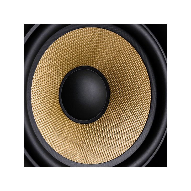 M-Audio FORTY SIXTY - Aktywny monitor