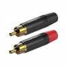 Roxtone P2BG - Wtyk typu RCA Roxtone P2BG - Wtyk typu RCA