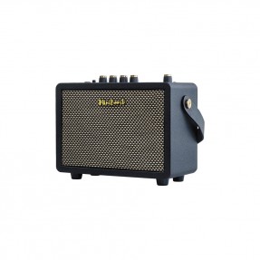 DK Technology iG-10Pro - Wzmacniacz do gitary elektrycznej