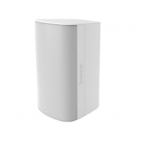 Biamp Desono EX-S8-1W naścienny zestaw głośnikowy 250 W / 8Ω - 1 - Kolumny instalacyjne - Biamp Desono EX-S8 W (White) to 8-calo