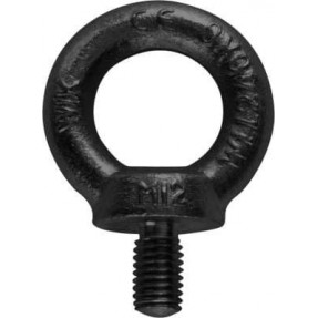 Riggatec Eyebolt M8 Black WLL 140kg - Śruba oczkowa