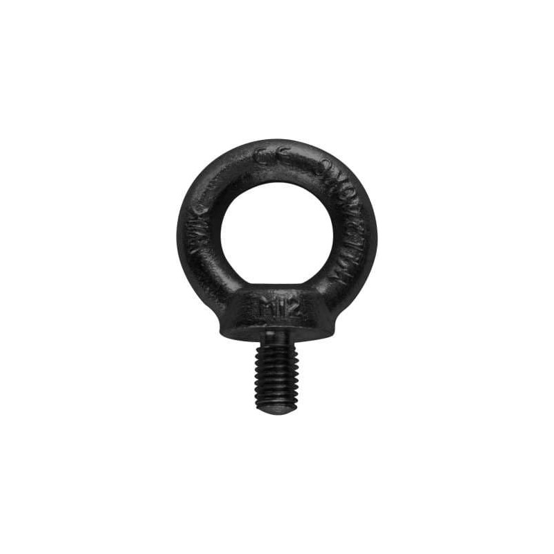 Riggatec Eyebolt M8 Black WLL 140kg - Śruba oczkowa