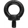 Riggatec Eyebolt M8 Black WLL 140kg - Śruba oczkowa