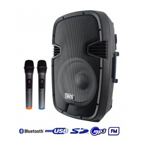 RH SOUND PAQ-12 Aktywna...