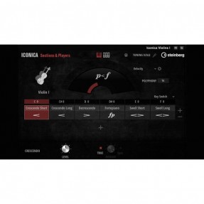 Steinberg Iconica Sections & Players orkiestrowa biblioteka próbek - 1 - Biblioteki brzmień, presety - Steinberg Iconica Section