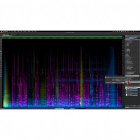 Steinberg SpectraLayers...