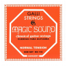 Struny Galli Strings MS110 do gitary klasycznej w zestawie korbka + tuner + 6 kostek + pojemnik
