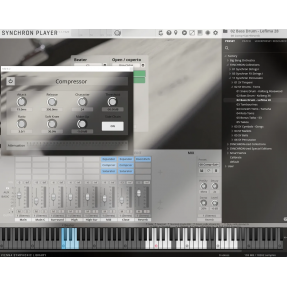 Vienna Symphonic Library Synchron Percussion II (Standard Library) Instrument wirtualny VST - 1 - Instrumenty wirtualne - Vienna