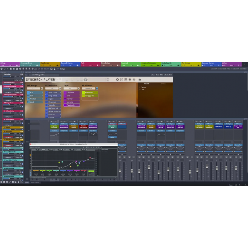 Vienna Symphonic Library Vienna Ensemble Pro 7 Cross-platform MIDI LAN - 2 - Oprogramowanie - Vienna Symphonic Library Vienna En